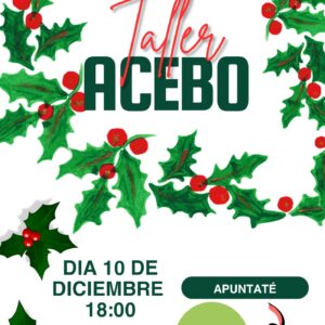 Taller de Acebo 2025