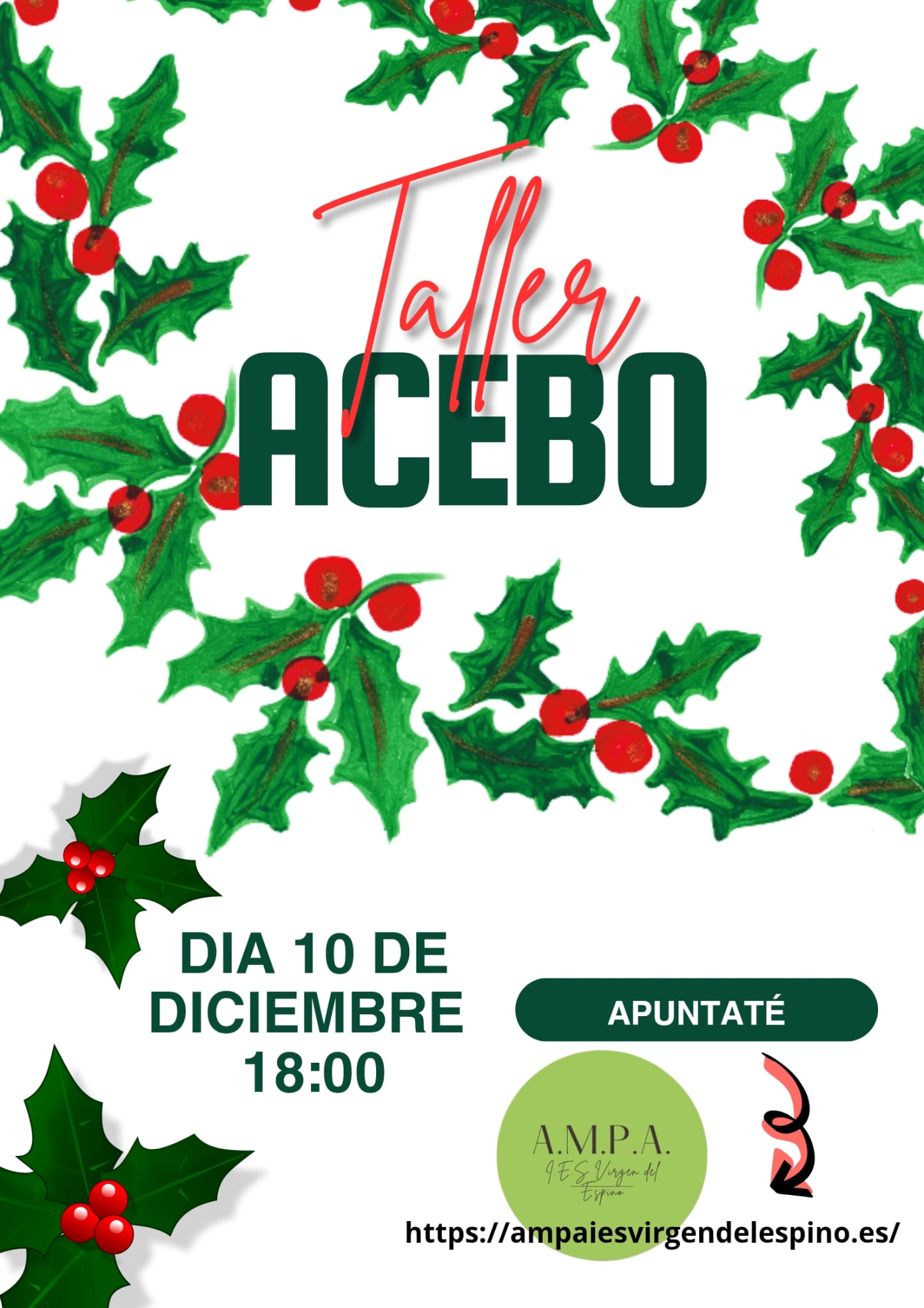 Taller de Acebo 2025